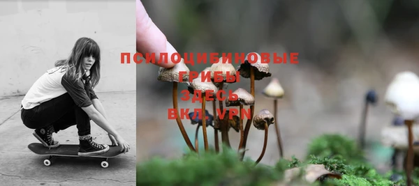 стаф Волоколамск