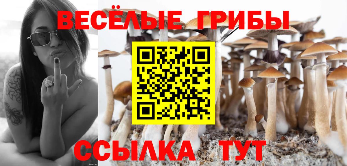 наркошоп  Вход с VPN  Назарово  Псилоцибиновые грибы Cubensis 