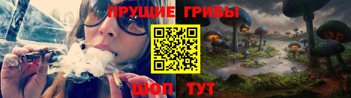 Псилоцибиновые грибы прущие грибы Назарово